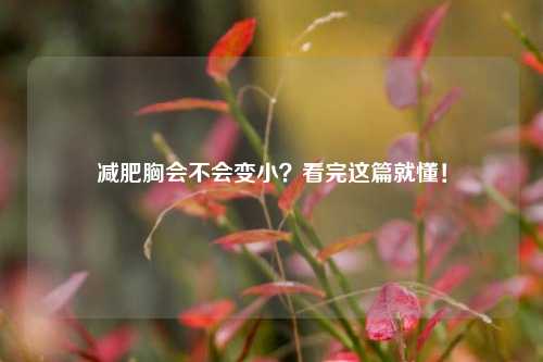 减肥胸会不会变小？看完这篇就懂！
