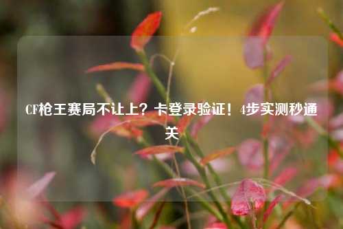 CF枪王赛局不让上？卡登录验证！4步实测秒通关