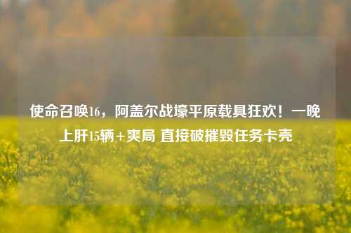 使命召唤16，阿盖尔战壕平原载具狂欢！一晚上肝15辆+爽局 直接破摧毁任务卡壳
