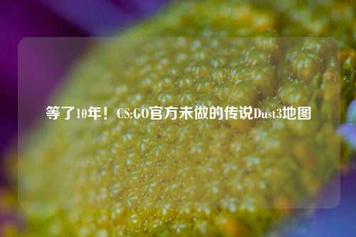 等了10年！CS:GO官方未做的传说Dust3地图