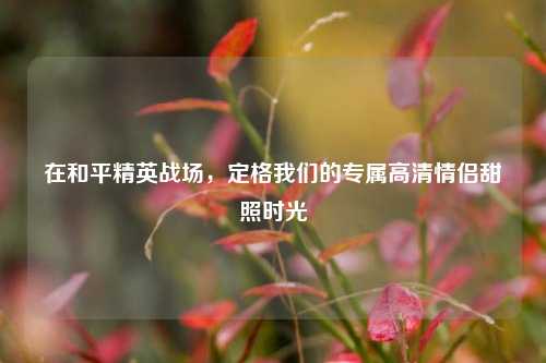 在和平精英战场，定格我们的专属高清情侣甜照时光