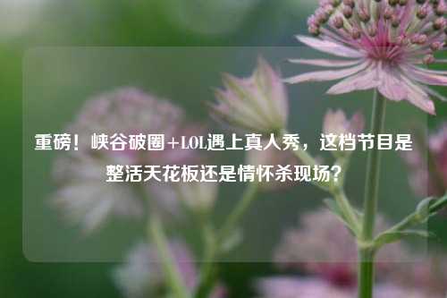 重磅！峡谷破圈+LOL遇上真人秀，这档节目是整活天花板还是情怀杀现场？
