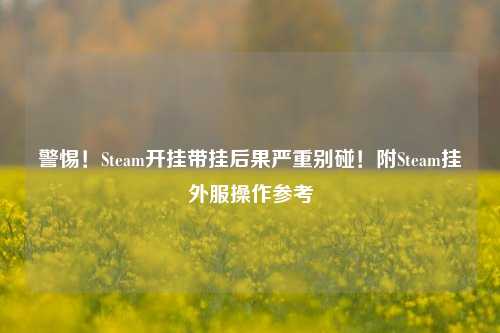 警惕！Steam开挂带挂后果严重别碰！附Steam挂外服操作参考