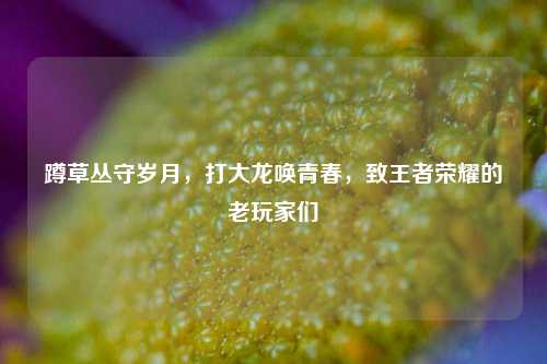 蹲草丛守岁月，打大龙唤青春，致王者荣耀的老玩家们