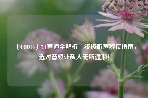 （COD16）7.1声道全解析｜终极听声辨位指南，选对音频让敌人无所遁形！