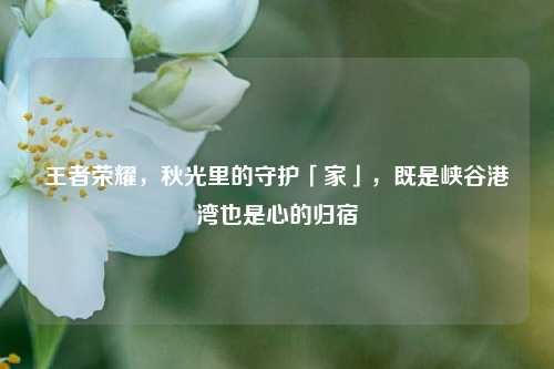 王者荣耀，秋光里的守护「家」，既是峡谷港湾也是心的归宿