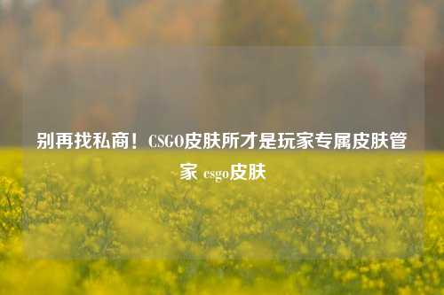 别再找私商！CSGO皮肤所才是玩家专属皮肤管家 csgo皮肤