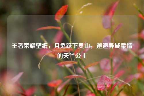 王者荣耀壁纸，月兔跃下灵山，邂逅异域柔情的天竺公主