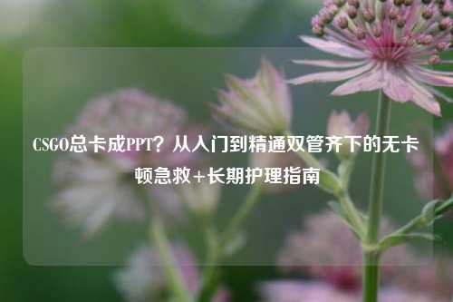 CSGO总卡成PPT？从入门到精通双管齐下的无卡顿急救+长期护理指南