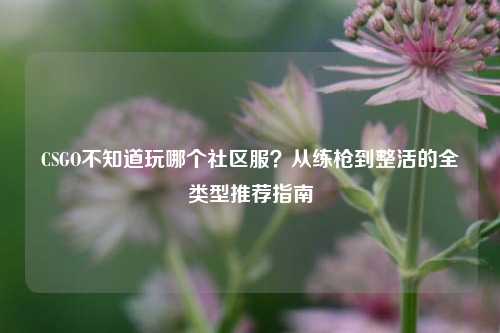 CSGO不知道玩哪个社区服？从练枪到整活的全类型推荐指南