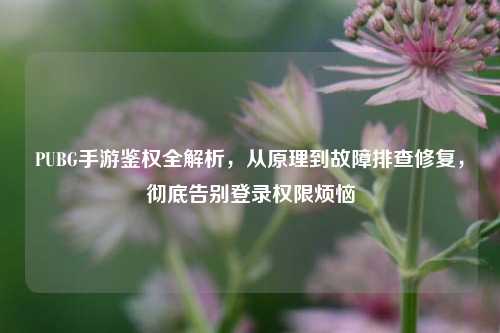 PUBG手游鉴权全解析，从原理到故障排查修复，彻底告别登录权限烦恼
