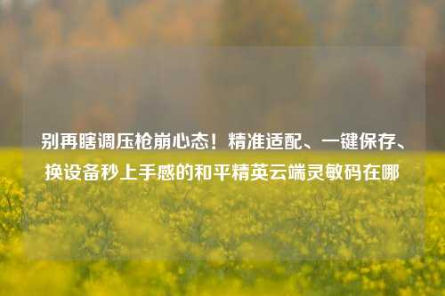 别再瞎调压枪崩心态！精准适配、一键保存、换设备秒上手感的和平精英云端灵敏码在哪