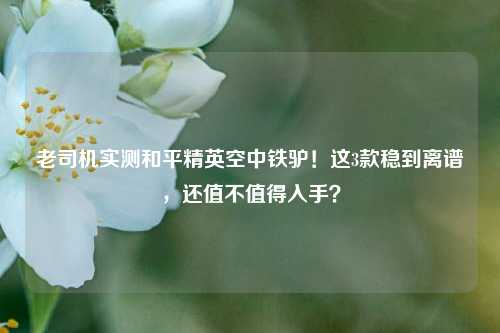 老司机实测和平精英空中铁驴！这3款稳到离谱，还值不值得入手？