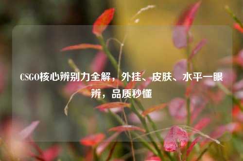 CSGO核心辨别力全解，外挂、皮肤、水平一眼辨，品质秒懂