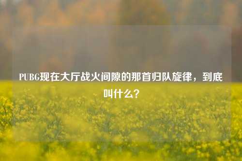 PUBG现在大厅战火间隙的那首归队旋律，到底叫什么？