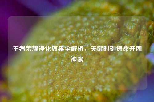 王者荣耀净化效果全解析，关键时刻保命开团神器
