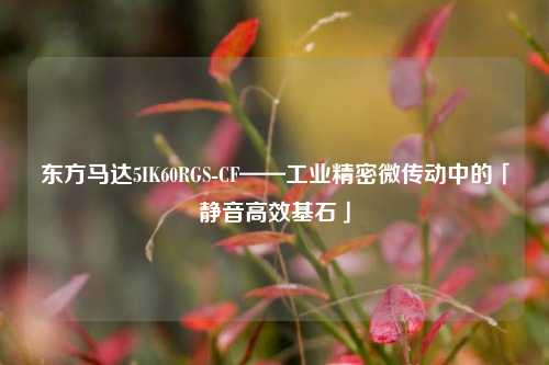 东方马达5IK60RGS-CF——工业精密微传动中的「静音高效基石」