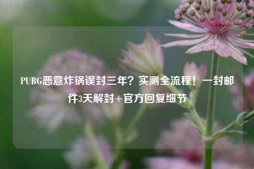 PUBG恶意炸锅误封三年？实测全流程！一封邮件3天解封+官方回复细节