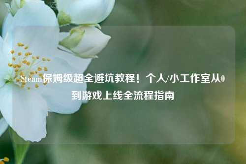 Steam保姆级超全避坑教程！个人/小工作室从0到游戏上线全流程指南