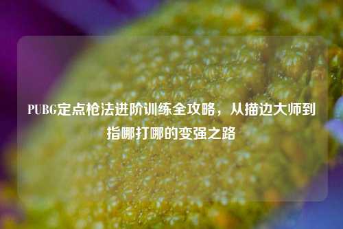 PUBG定点枪法进阶训练全攻略，从描边大师到指哪打哪的变强之路