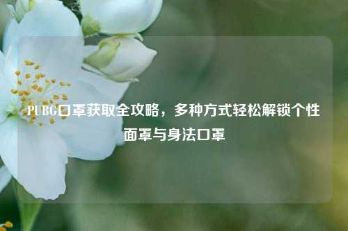 PUBG口罩获取全攻略，多种方式轻松解锁个性面罩与身法口罩