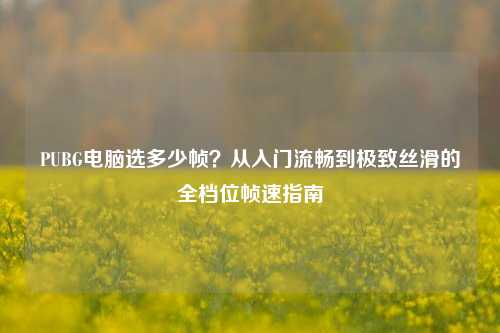 PUBG电脑选多少帧？从入门流畅到极致丝滑的全档位帧速指南