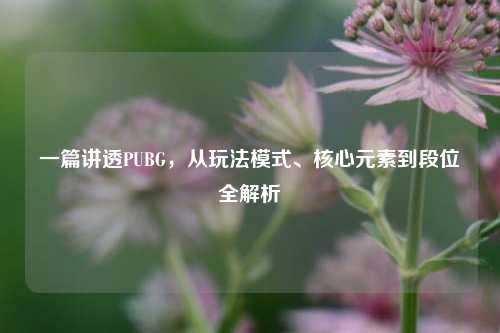 一篇讲透PUBG，从玩法模式、核心元素到段位全解析