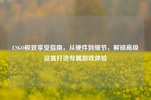 CSGO极致享受指南，从硬件到细节，解锁高级设置打造专属游戏体验