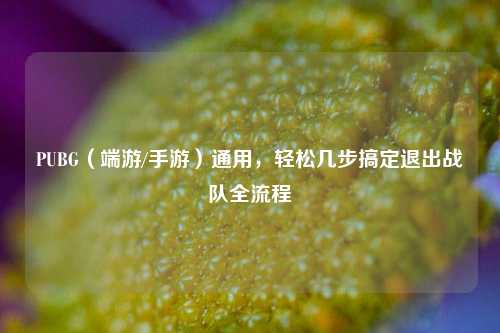 PUBG（端游/手游）通用，轻松几步搞定退出战队全流程