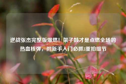 逆战张杰完整版爆燃！架子鼓才是点燃全场的热血核弹，附新手入门必抓3重拍细节