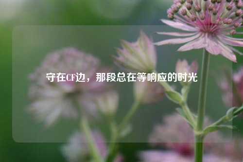 守在CF边，那段总在等响应的时光
