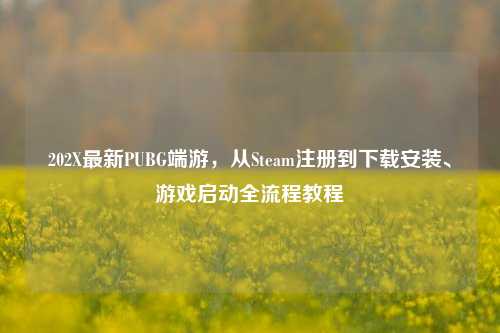 202X最新PUBG端游，从Steam注册到下载安装、游戏启动全流程教程