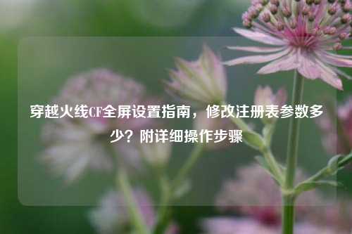 穿越火线CF全屏设置指南，修改注册表参数多少？附详细操作步骤