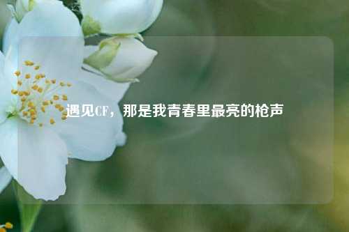 遇见CF，那是我青春里最亮的枪声