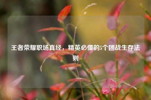 王者荣耀职场真经，精英必懂的5个团战生存法则