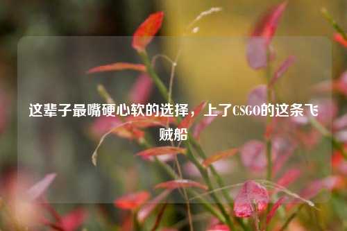 这辈子最嘴硬心软的选择，上了CSGO的这条飞贼船