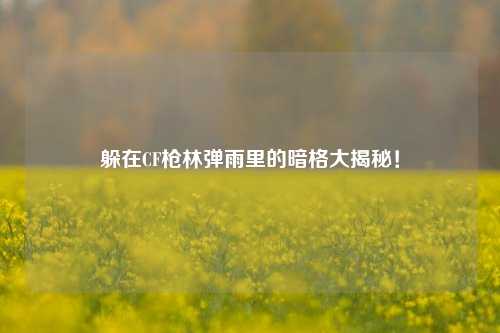 躲在CF枪林弹雨里的暗格大揭秘！