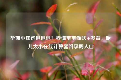 孕期小焦虑退退退!秒懂宝宝像啥+发育,胎儿大小在线计算器附孕周入口