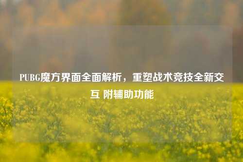 PUBG魔方界面全面解析,重塑战术竞技全新交互 附辅助功能