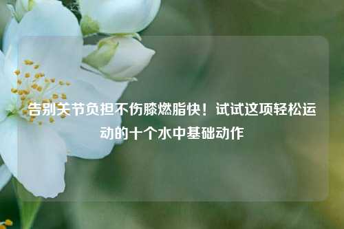 告别关节负担不伤膝燃脂快!试试这项轻松运动的十个水中基础动作