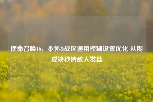 使命召唤16,本体&战区通用模糊设置优化 从糊成块秒清敌人发丝