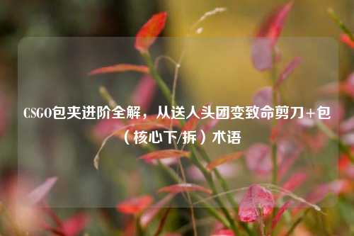 CSGO包夹进阶全解,从送人头团变致命剪刀+包(核心下/拆)术语