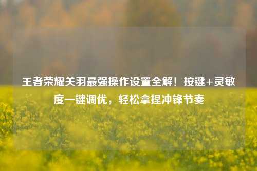 王者荣耀关羽最强操作设置全解!按键+灵敏度一键调优,轻松拿捏冲锋节奏