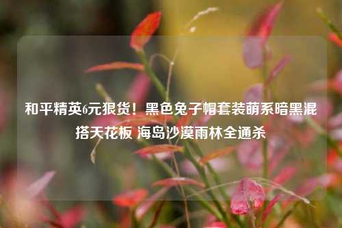 和平精英6元狠货!黑色兔子帽套装萌系暗黑混搭天花板 海岛沙漠雨林全通杀