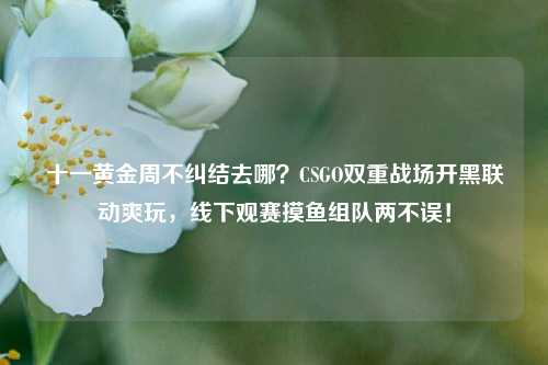 十一黄金周不纠结去哪？CSGO双重战场开黑联动爽玩，线下观赛摸鱼组队两不误！