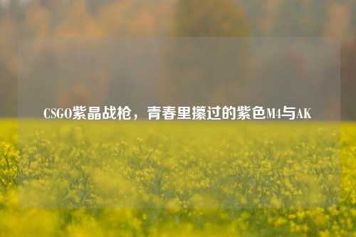 CSGO紫晶战枪,青春里攥过的紫色M4与AK