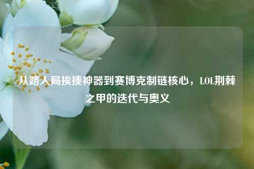 从路人局挨揍神器到赛博克制链核心,LOL荆棘之甲的迭代与奥义