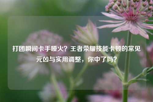 打团瞬间卡手哑火？王者荣耀技能卡顿的常见元凶与实用调整，你中了吗？
