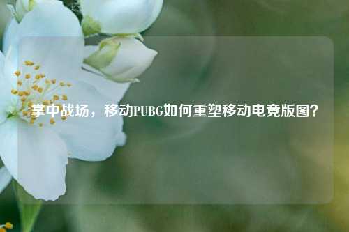 掌中战场,移动PUBG如何重塑移动电竞版图?