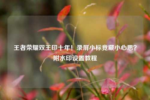 王者荣耀双王印十年！录屏小标竟藏小心思？附水印设置教程